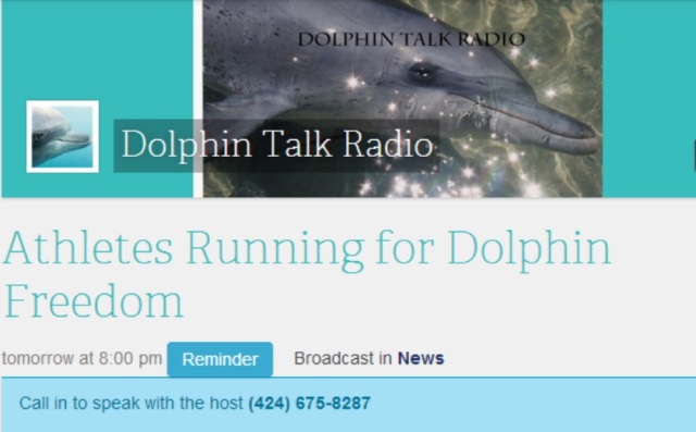 Join us for the show! Call in and get involved in spreading awareness for dolphins!
